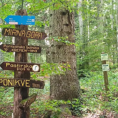 Apartma Zidanca Bele *