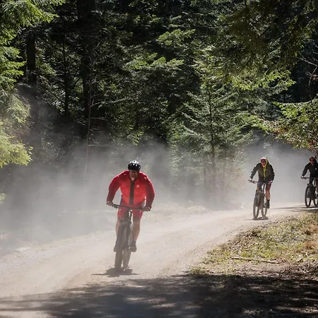 Apartma Zidanca Bele Апартаменты *