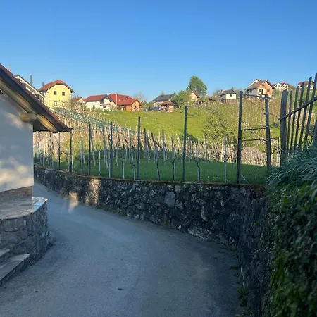 Apartma Zidanca Bele Apartman *