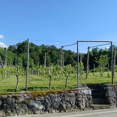 Apartma Zidanca Bele Апартаменты *