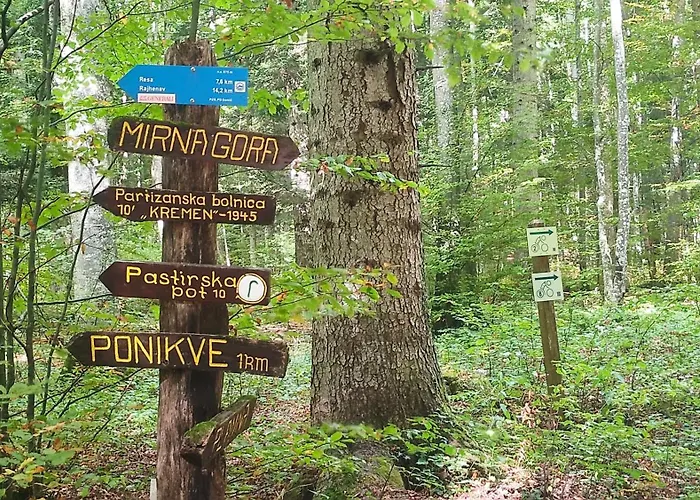 Apartma Zidanca Bele *