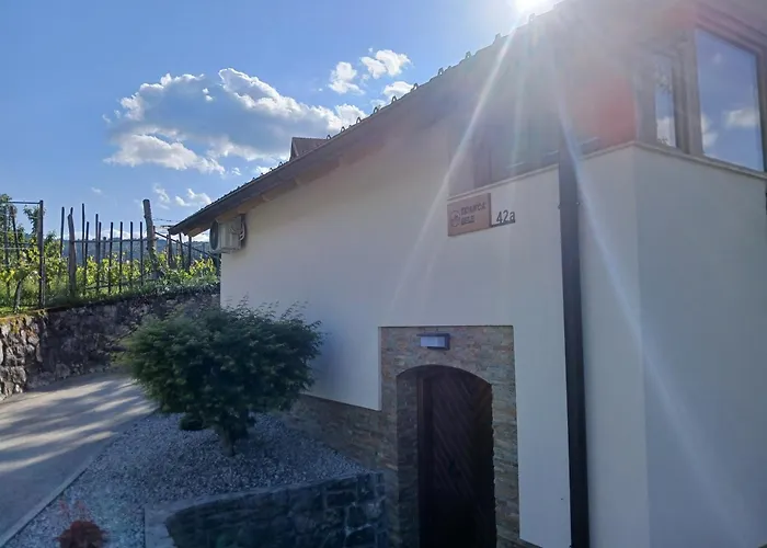 Apartma Zidanca Bele Appartamento