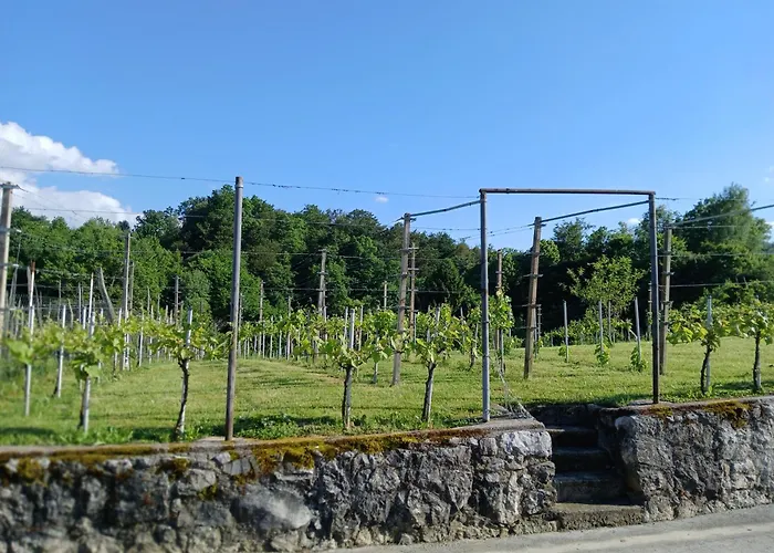 Apartma Zidanca Bele Appartamento *